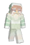 Silvalerius Minecraft avatar full body