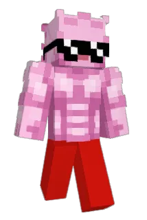 Silver225 Minecraft avatar full body