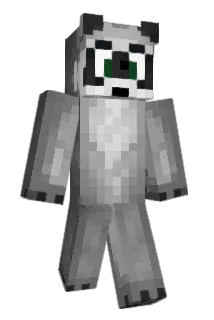 Silver29 Minecraft avatar full body