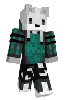 SilverFox_ Minecraft avatar full body