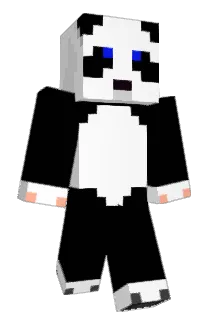 Silverhays Minecraft avatar full body