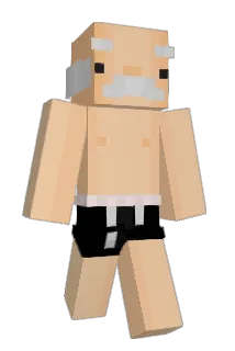 Silvius9 Minecraft avatar full body