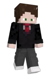 SimFendt Minecraft avatar full body