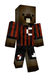 SimoBru11 Minecraft avatar full body