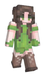 Custom render preview