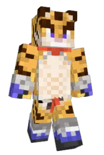 SirGrako Minecraft avatar full body