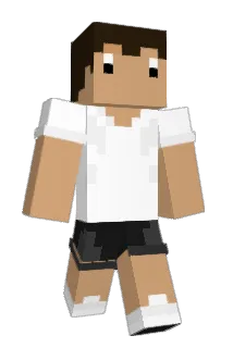 SirOctopus97 Minecraft avatar full body