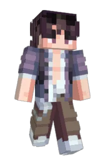 Sir_Lo1n Minecraft avatar full body