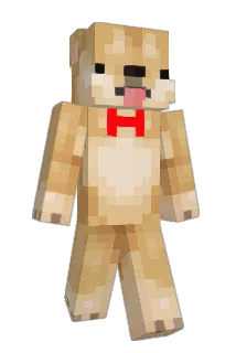 Sir_Puppies Minecraft avatar full body