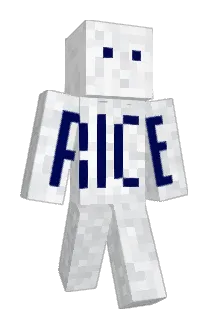 Sir_Rijst Minecraft avatar full body