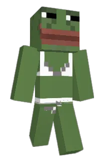 Sir_Wash Minecraft avatar full body
