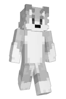 SjorsMaster Minecraft avatar full body