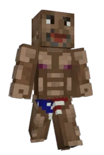 Sjuan9 Minecraft avatar full body