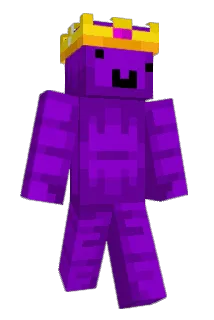 Sk11ng Minecraft avatar full body