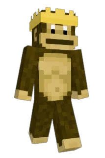 Sk8ingMonkey Minecraft avatar full body