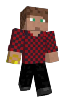 SkInsDenasty Minecraft avatar full body