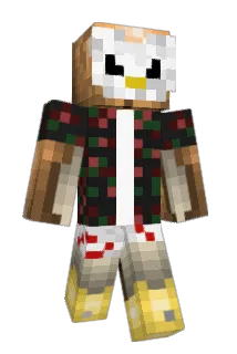 Skaamatiic Minecraft avatar full body