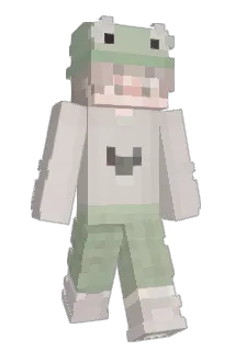 Skate08 Minecraft avatar full body