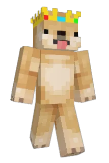 SkaterX Minecraft avatar full body