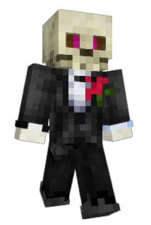 Skelleboi Minecraft avatar full body