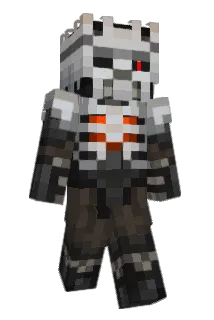 Skellypin Minecraft avatar full body