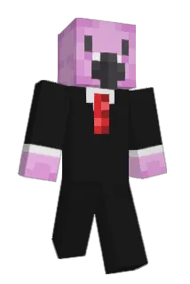 SketchedFlamingo Minecraft avatar full body
