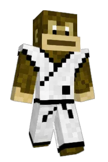 Skezi_ Minecraft avatar full body