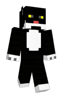 SkiCat3 Minecraft avatar full body