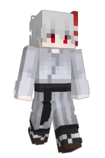 Minecraft-Avatar von Skibaja: ganzer Körper