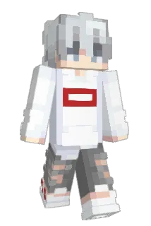 Skibidi_KINGVON Minecraft avatar full body