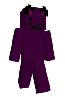 Skibidiwii Minecraft avatar full body