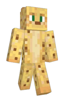 Skiddy45 Minecraft avatar full body