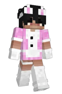 Skidunion Minecraft avatar full body