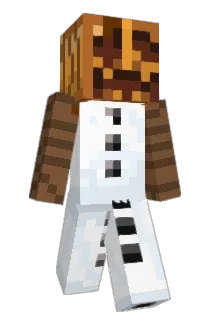Skindogo Minecraft avatar full body
