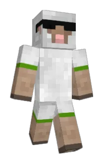 SkipperEimar Minecraft avatar full body
