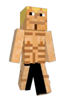 Skippert Minecraft avatar full body