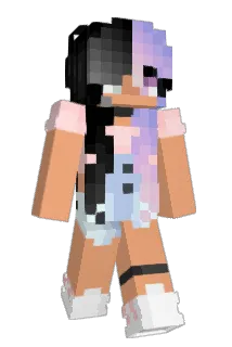 Skirn Minecraft avatar full body