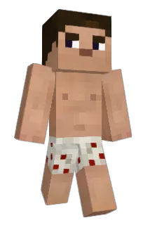Skittly Minecraft avatar full body