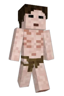 Skixo0 Minecraft avatar full body