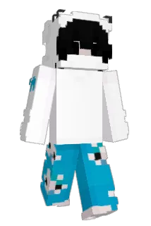 Skky1 Minecraft avatar full body