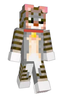 Skole04 Minecraft avatar full body