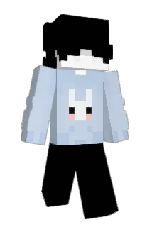 Skoretyy Minecraft avatar full body