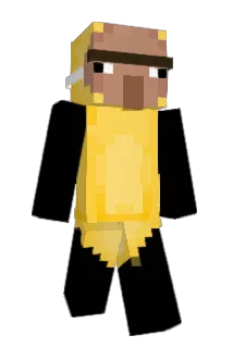 SkudBud21 Minecraft avatar full body
