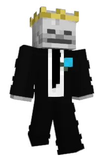 Minecraft-Avatar von Skulls077: ganzer Körper
