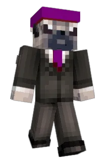SkyDivingPug Minecraft avatar full body