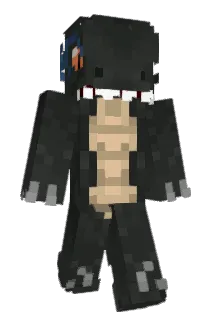 SkyDrache Minecraft avatar full body
