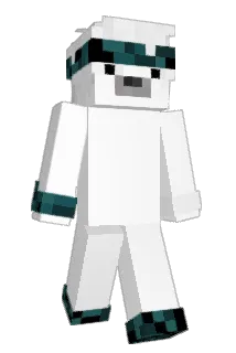 SkyFroZzeR Minecraft avatar full body