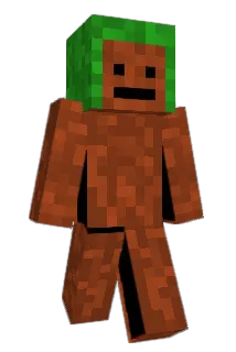 SkyGuyFrenchFry Minecraft avatar full body
