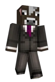 SkyNinja15 Minecraft avatar full body