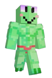 SkyNo0o Minecraft avatar full body